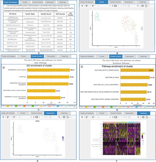 Detailed information for cell map of lncRNA. (A) General information for the single-cell sequencing data. (B) Cluster plot of lncRNAs based on single-cell sequencing data. (C) A plot of the GO enrichment of cluster. (D) A plot of the pathway enrichment of cluster. (E) Feature plot of lncRNAs based on single-cell sequencing data. (F) Heatmap plot of lncRNAs based on single-cell sequencing data.