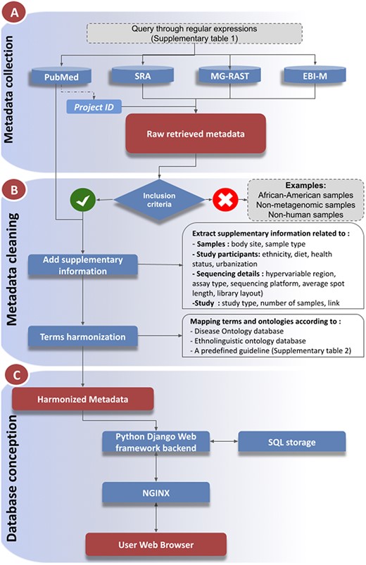 Workflow of metadata collection and database integration. (A): Metadata collection: Metadata were collected from a number of public data repositories. Metadata completion and cleaning (B): The metadata were cleaned, enriched with supplementary information collected from the associated publications, prior to harmonization steps (C): Database and web service constructions.