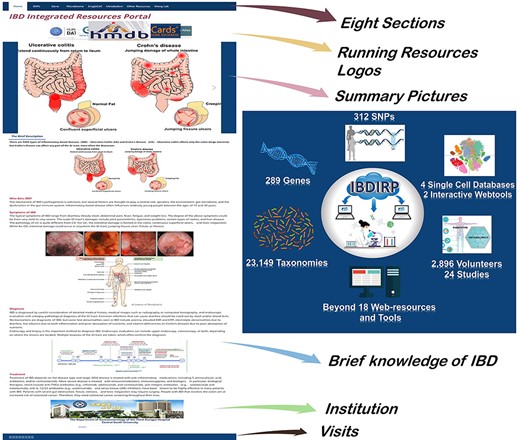 The homepage’s introduction and the overview of IBDIRP website. IBDIRP sorted and cataloged more than 320 unique risk SNPs associated with IBD, 289 IBD-related genes, 153 IBD transcriptomics data, including 12 388 samples, 23 149 IBD-related taxonomic records, 24 IBD metabolomics studies with 2896 participants, 18 significant IBD web resources and other useful research resources.