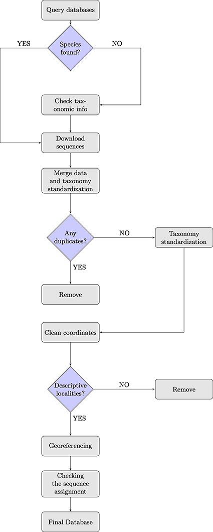 Flowchart showing the database building process.