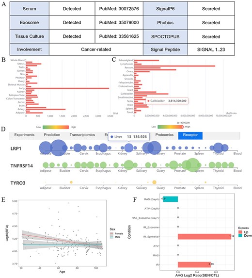 One example illustrates the multiple validation channels SEPDB provides for secreted proteins, helping to uncover protein function. (A) Secreted proteins validate evidence information. (B) Tissue-specific transcript data of alpha-2 macroglobulin. (C) Tissue-specific proteomic data of alpha-2 macroglobulin. (D) Alpha-2 macroglobulin receptor tissue-specific expression network. (E) Expression of alpha-2 macroglobulin in serum changed with age in 170 individuals. (F) Senescence-associated secretory phenotype (SASP) expression changes of alpha-2 macroglobulin after intervention under different conditions.