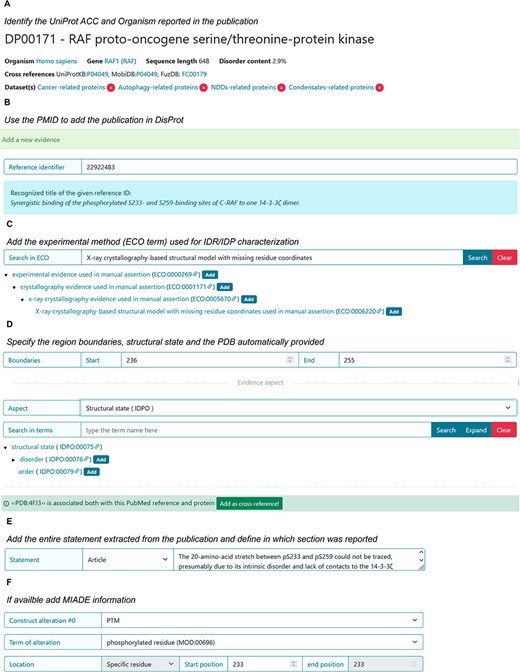 DisProt representation of the steps performed during the manual curation of RAF proto-oncogene serine/threonine-protein kinase. (A) UniProt accession number should be used for the entry creation. (B) Include the PMID to cite the publication as the source of information. The title is automatically retrieved. (C) The method employed for the assessment should be chosen from the list of available ECO terms. (D) In accordance with the UniProt sequence, the curator should report the ‘start’ and ‘end’ positions (236–255) of the IDR. From the drop-down menu, choose the structural state (IDPO) and select the specific term. Add the PDB as cross-reference automatically provided by the system. (E) As support of the evidence and annotation, curators are required to add statements extracted from the publication. Curators should copy and paste the original sentences as they appear in the article. (F) Additional information corresponding to PTM under sequence construct can be added.
