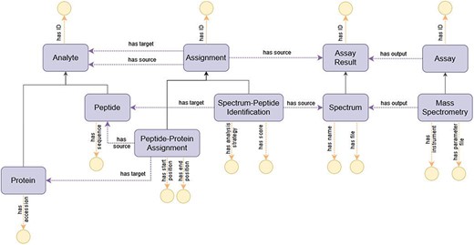 Diagram of the representation of the process of peptide identification through MS in ImPO. Purple rectangles represent classes, blue ellipses represent individuals, and yellow circles represent data values; black arrows represent subclass axioms; purple arrows represent rdf:type assertions of individuals or object property restrictions relating classes; yellow arrows represent data property restrictions of classes.