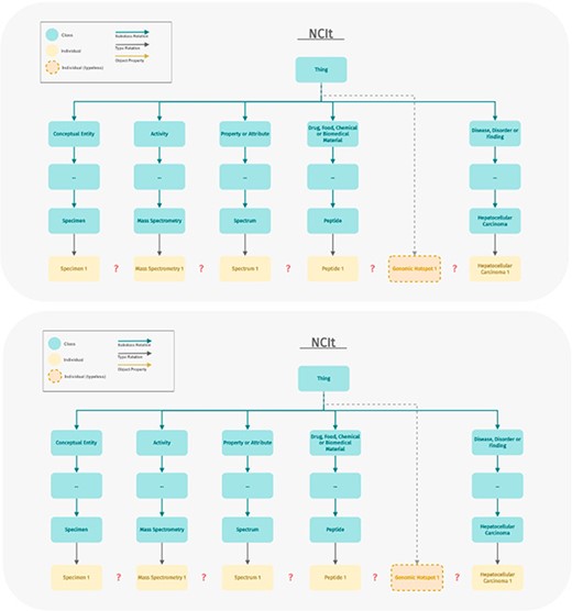 Example displaying the modeling difference between ImPO and NCIt. ImPO and NCIt model the biological entities relevant to immunopeptidomics in a strikingly different manner. ImPO and NCIt can both classify (most of) the data objects but only ImPO contains the properties and restrictions to interconnect them.