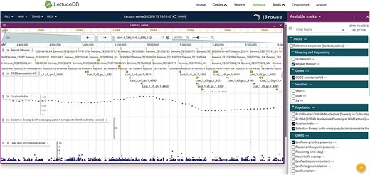 Webpage of the Jbrowse, including gene annotation, sequence variations, selection regions and genome-wide association results.