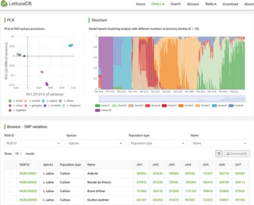 Webpage of the Variome module, including interactive plots of PCA and structure, and a searching bar for SNP counts in each line.