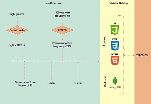 A systematic methodology of the data collection and data processing of STRIDE-DB.