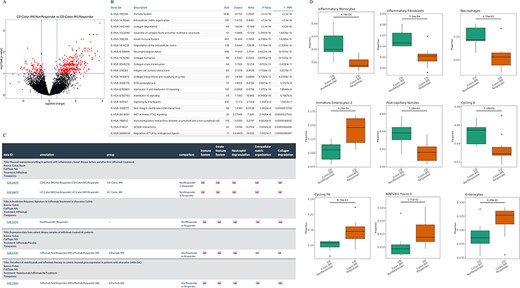 Understanding the infliximab resistance molecular and cellular mechanisms. (A) Volcano plot of differentially expressed genes between non-responders and responders at baseline in GSE16879 CD colon samples. (B) Top 20 enriched Reactome pathways based on the up-regulated genes from (A). (C) Comparison of five representative Reactome-enriched pathways from (B) in five non-responder vs responder comparisons from four infliximab-treated IBD datasets. (D) Significant cell types between non-responders and responders at baseline in GSE16879 CD colon samples.
