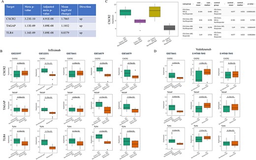 Prioritization of the candidate targets with genetic evidence for the treatment of infliximab non-responders. (A) Top three candidates with adjusted meta P-value <0.05 and |mean log2(fold change)|>0.58 from IBDIntegrate module. (B) Comparison of three candidates in five non-responder vs responder comparisons from four infliximab-treated IBD datasets. (C) Comparison of CXCR2 expression between after-treatment and baseline samples for responders and non-responders in GSE16879. (D) Comparison of three candidates in three non-responder vs responder comparisons from two vedolizumab-treated IBD datasets.