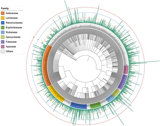 Alt text: The bar chart on the outside corresponds to the number of compounds isolated from each species.
