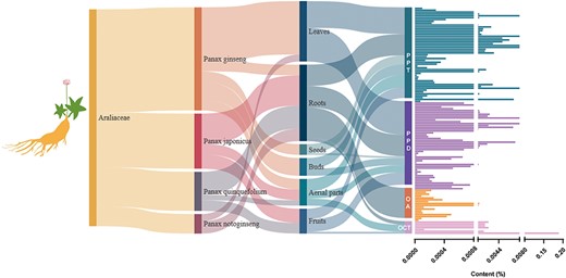 Alt text: Protopanaxadiol-type (PPD-type), protopanaxatriol-type (PPT-type), oleanolic acid type (OA-type) and ocotillol type (OCT-type).