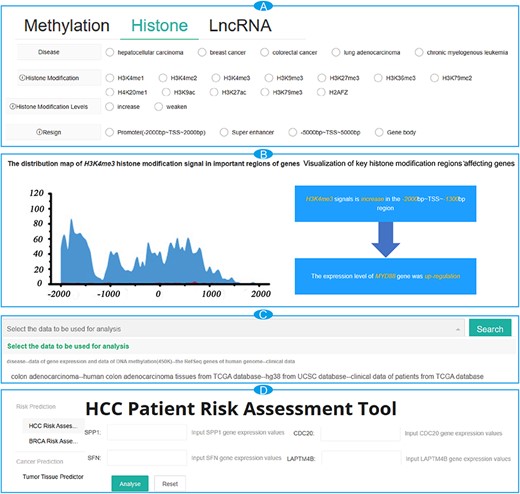 Alt text: The figure was comprised of four main modules in the interfaces of CancerMHL. It includes the information about key epigenetic modifications, the distribution patterns of DNA methylation and histone modifications, the online tools for risk assessment and the early diagnosis of cancer patients.