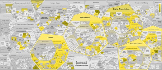 Reactome pathway enrichment analysis results shown in the Reactome Voronoi map for 372 disease variant genes based on Reactome Release 84.