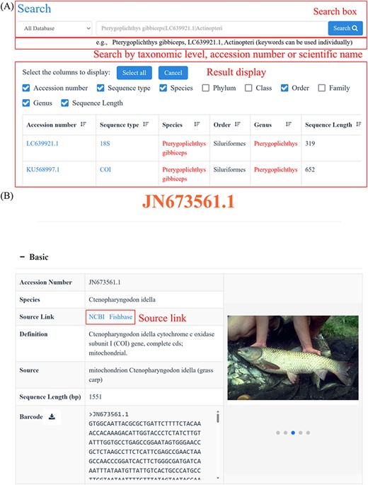 Quick search page (A) and the detail page of each sequence (B–E). (A) Example of the quick search result. (B) Basic information of each sequence and its corresponding species. (C) Geographic distribution information of the species corresponding to the sequence. (D) References of the sequence. (E) Taxonomic information of the species corresponding to the sequence.