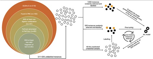 Alt text: The left side consists concentric circles showing the filtering process of the OLIDA articles to the final 85 articles in the DUVEL dataset. The right side is a schematic representation of the AL process, showing the initial unlabelled instances split in three parts, with 1000 instances for the test set and 500 for the initial labelled set, randomly selected and labelled before the initialisation of the AL process.