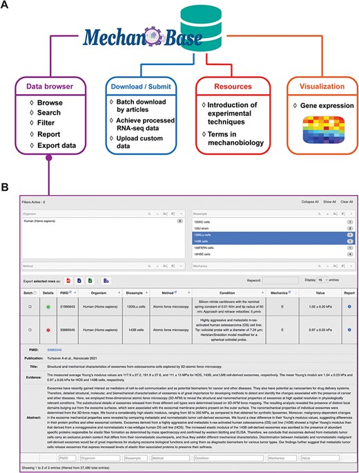 Diagram of MechanoBase website structure and Data Browser screenshot.