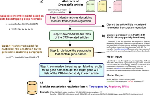 The workflow of the DMLS pipeline. (a) Step overview of the pipeline. (b) The example case for DMLS Step 3. (c) The example case for DMLS Step 4.