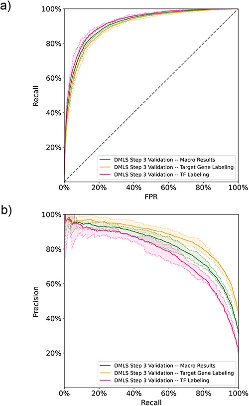 The DMLS Step 3 results of the 5-fold validation on the paragraph training-validation set computed in (a) ROC curves and (b) PR curves. The shaded areas represent the value ranges of the cross-validation results.