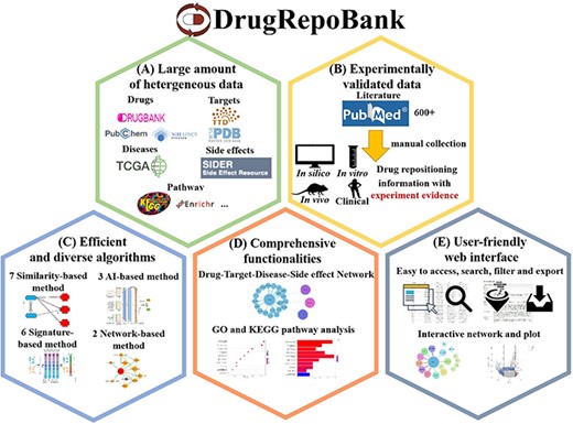 Characteristics of DrugRepoBank. (A) A large amount of heterogeneous data (drugs, targets, diseases, side effects and pathways) was integrated from several high-quality databases. (B) Experimentally validated drug repositioning information manually collected from the literature. (C) Multi-dimension algorithms include seven similarity-based methods, six signature-based methods, two network-based method and three artificial-intelligence-based methods. (D) Comprehensive functionalities to explore biological significance include network visualization of drug-target-disease-side effect network, pathway analysis of disease signatures, etc. (E) A user-friendly web interface makes the database easy to access, search, filter and export.