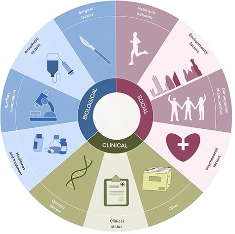 Eleven categories of PPCs’ risk factors.