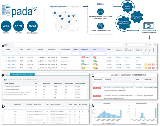 Alt text: SpadaHC overview; laboratories can share datasets of variant classifications (Excel) and variants from individuals (VCFs + Excel). The datasets undergo quality control, bioinformatics pipeline annotation and database integration before being displayed in SpadaHC. The graphical abstract also shows five views of SpadaHC.