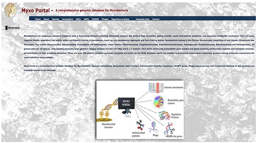 MyxoPortal homepage. The home section provides information on collaborators involved in the MyxoPortal database project. The About section displays an overview containing summarized information on myxobacteria including a work-flow diagram. The Species section indicates a table displaying the data files for all myxobacterial species available on the database. Certain sections have been condensed for display purposes.