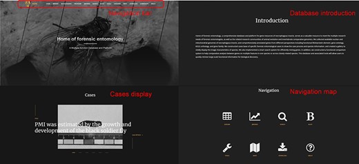 HOFE home page.