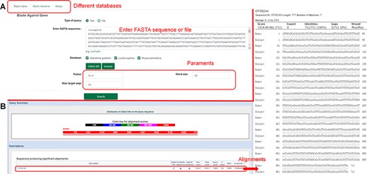 Introduction to the ‘Blast’ function. (A) Nucleotide sequences in the database compared using ‘Blastn’. (B) Results of nucleotide sequence alignment.