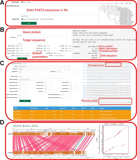 ‘Tools’ of the HOFE. (A) ‘Muscle’ displaying alignment results and the phylogenetic tree. (B) ‘Genewise’ showing the prediction of homologous proteins. (C) Primer design. (D) ‘Lastz’ displaying the results of gene collinearity analysis.