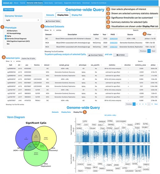Workflow of the genome-wide query tool.