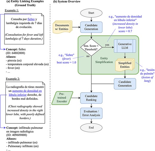 (a) Examples of entities and their grounding against SNOMED CT, as well as (b) an overview of our EL pipeline as a flow chart- the components investigated in this work are highlighted.
