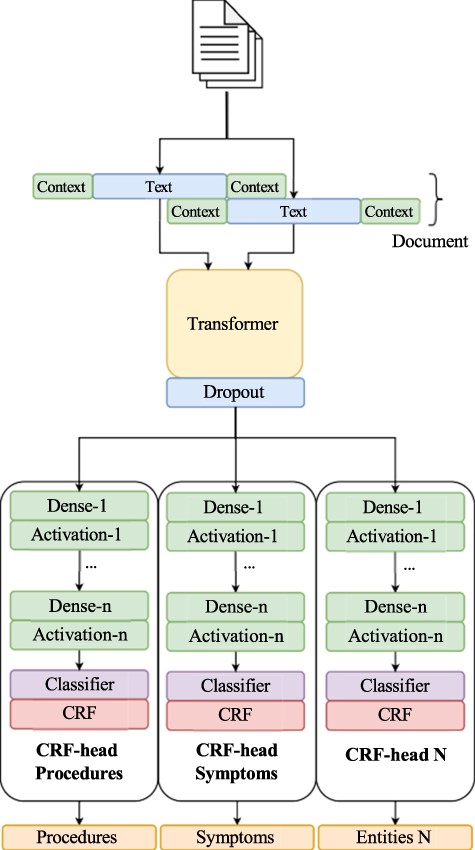 Overview of our NER pipeline, showcasing our multi-head CRF architecture.