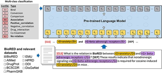 An illustration of relation task formulation of BioREx.
