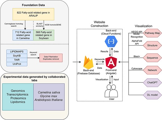 The data schema and functionalities of FatPlants.