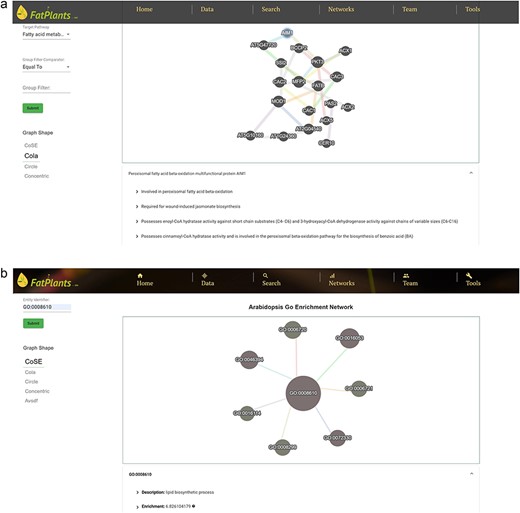 The FatPlants network viewer. (a) PPI network related to the fatty acid metabolism pathway. (b) GO enrichment network which includes gibberellin-related terms.