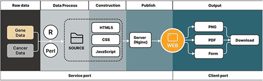 Outlines show the acquisition of data and data output for the CuPCA visualization tools.