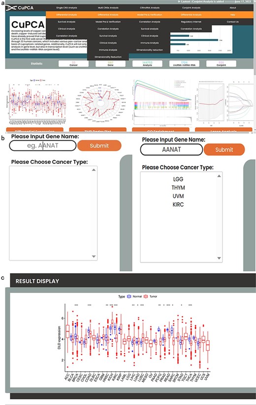Top navigation of CuPCA functions and the initial interface of CuPCA. (a) The total menu of CuPCA. (b) The search bar of CuPCA. (c) The example of a pan-cancer analysis result presented by CuPCA.