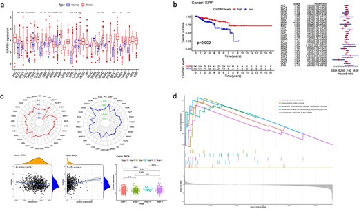 Pan-cancer analysis of single CRG. (a) Differential analysis. (b) Survival analysis. (c) Clinical analysis. (d) Correlation analysis.