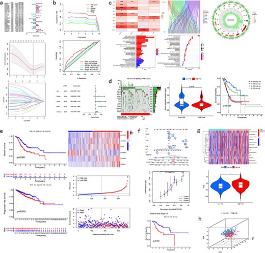 Pan-cancer analysis of CRlncRNA. (a) Presentation of the prognostic model. (b) Verification results of the prognostic model. (c) Correlation analysis. (d) Mutation analysis. (e) Survival analysis. (f) Clinical analysis. (g) Immune analysis. (h) PCA analysis.