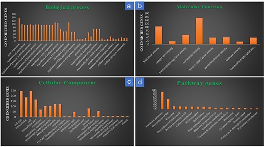 Gene ontology and pathway analysis of the drought-responsive target genes of the drought-responsive known miRNAs. (a) Target gene distribution in the sub-components of biological processes; (b) target gene distribution in the sub-components of molecular functions; (c) target gene distribution in the sub-components of cellular components; (d) target gene distribution across major pathways.