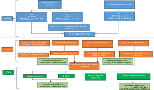 Current workflow for thalassemia screening and diagnosis using conventional PCR (multicenter approach).