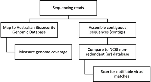 Organisational chart comparing the steps involved in mapping versus assembling reads to screen HTS data for notifiable viruses. Mapping involves two steps and results in measuring virus genome coverage. Assembling involves three steps and results in scanning contigs for matches to viruses.