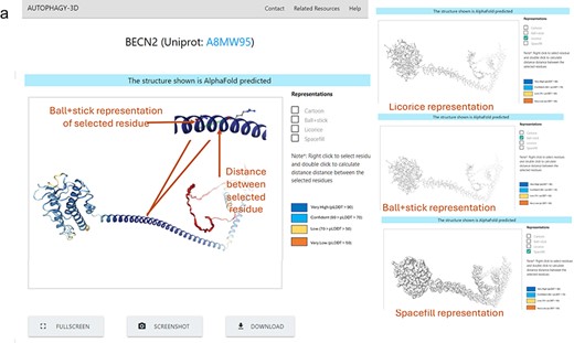 Alt text: 3D-Visualisation space for BECN2 with different features to switch the representation styles.