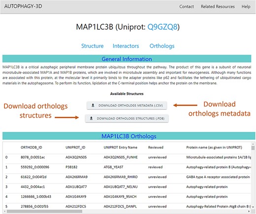 Alt text: Webpage view of MAP1LC3B orthologs containing metadata in tabular format which can be downloaded along with structures.