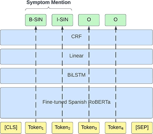 The architecture of the NER model.