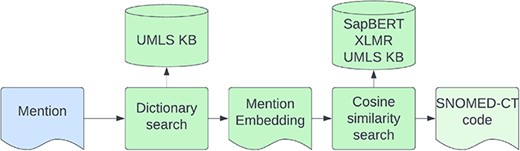 The architecture of the Enity Linking model.