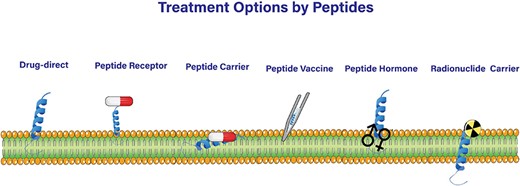 Peptide-Based Strategies for Cancer Treatment.