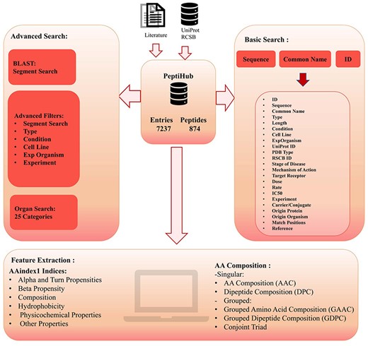 The overall components and utilities of PeptiHub.