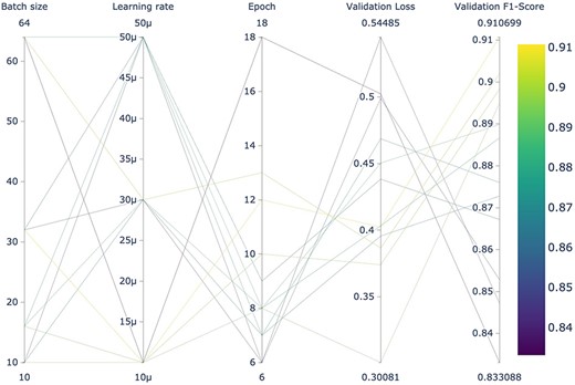 Hyperparameter search of the 12 LUKE models.