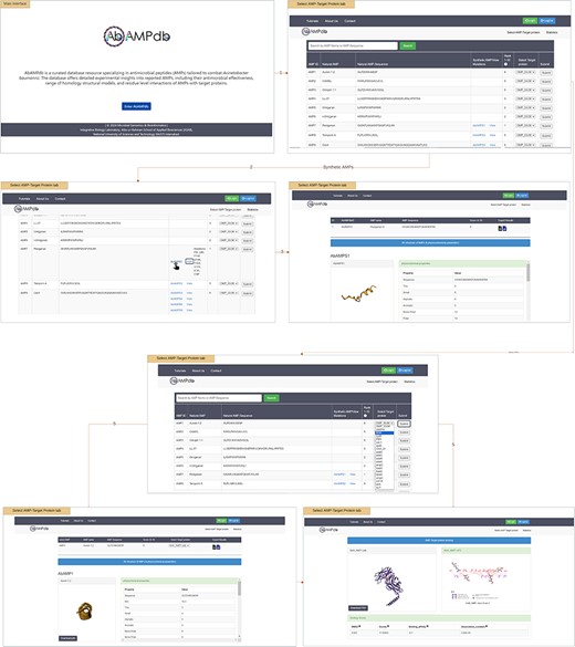 Web interface displaying the AbAMPdb.